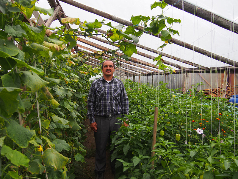 Dragos shows off his greenhouse