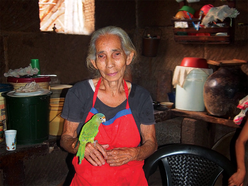Widow, Nicaragua, Parrot