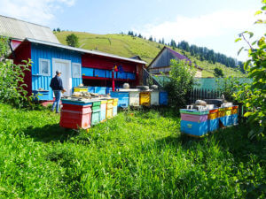 Beekeeping project supports family of nine