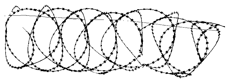 Bibles for the World 5 AdobeStock 562199131