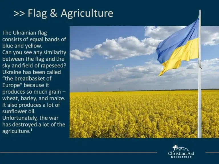 CAM Ukraine Slide 03